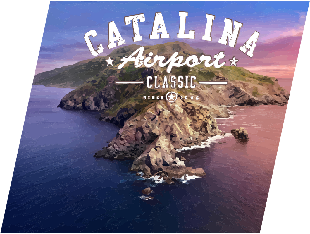 Island Hopper - Catalina Island Discovery Flight